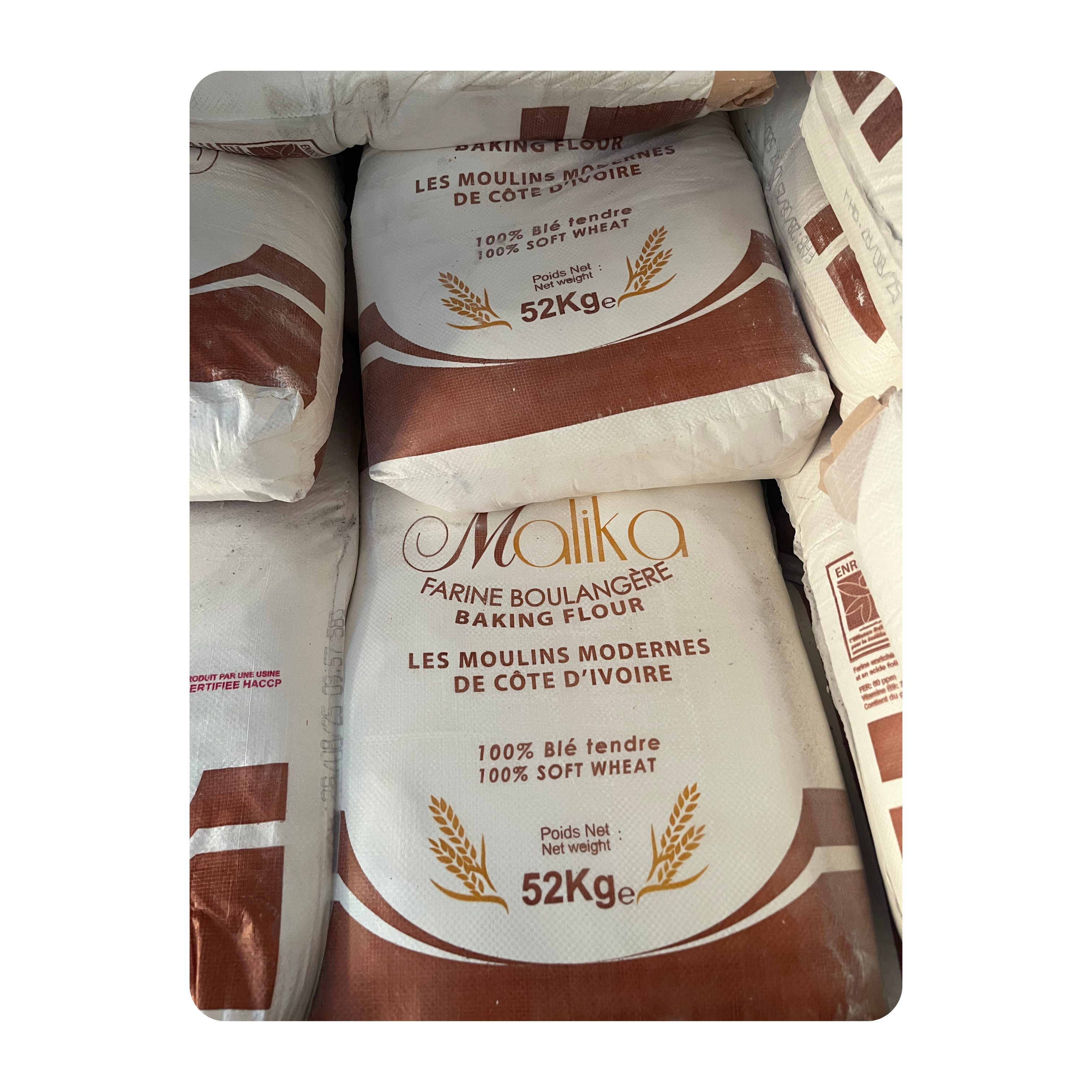 Soft Wheat Flour (Malika)
